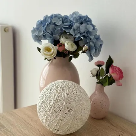 Goats Of Apartmán *